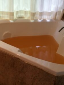 台鉄で向かう黄金色の瑞穂温泉